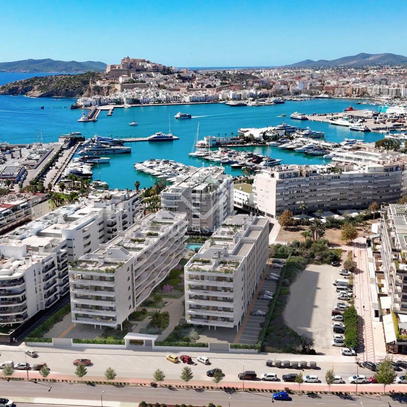 Amaranthus real estate